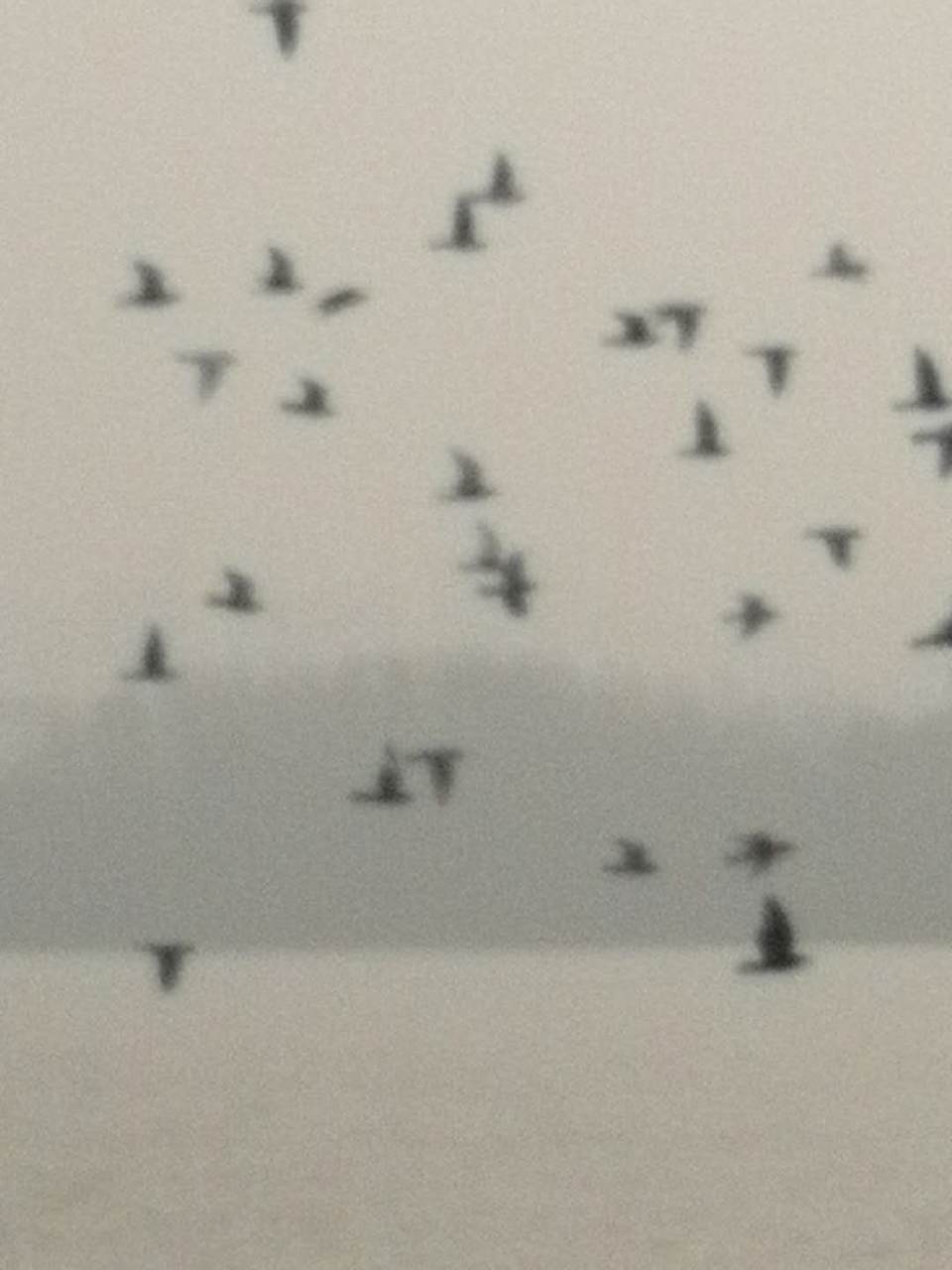 d8U1Cf6rar5emmdOs42e3CFwI-N2EtBVslZjHWcSyQb393M2mWGxGRlqNufdEOdN