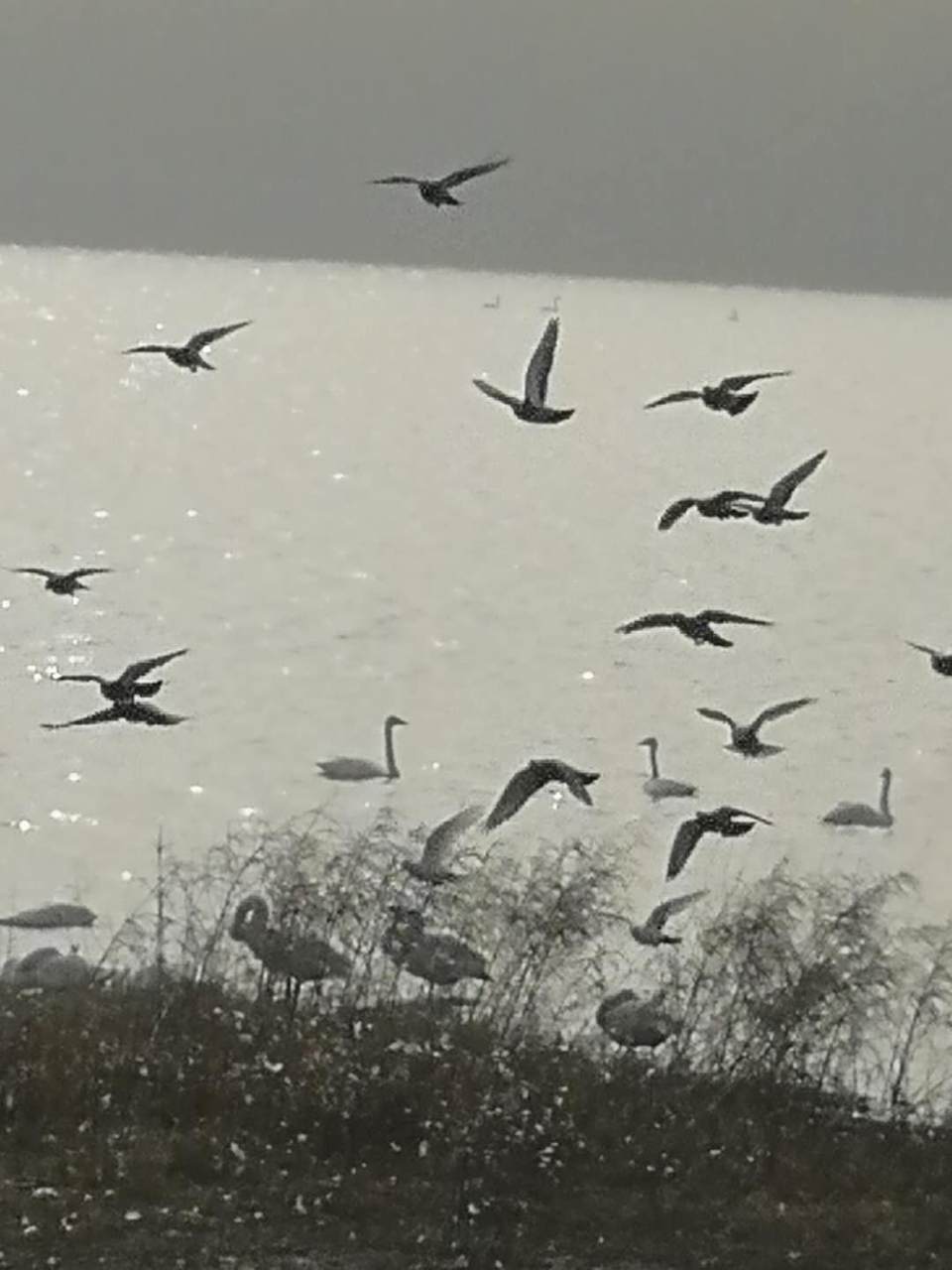 aqNUG67HhkyuufT00eHkdvvrUFB4Z2bdUcVJ_CwsxiAEu1EIuWjBlf2qDvZbdsr_