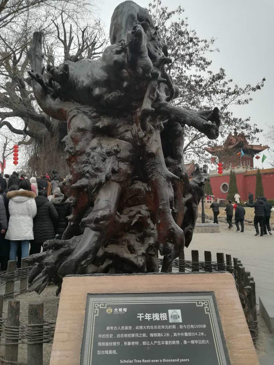 RIYhgENGtU9GNAo8xWQeyYVew2oo_ONlj7IzIl8blt-qjtuhkfqqMDO52VGdBLUC