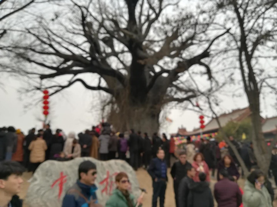 4KVRo8CrTM6KqF0djvYC6NdVbrUxypigEjVsVSCqemWn5VHbs5OWUHNNhplFW9g-