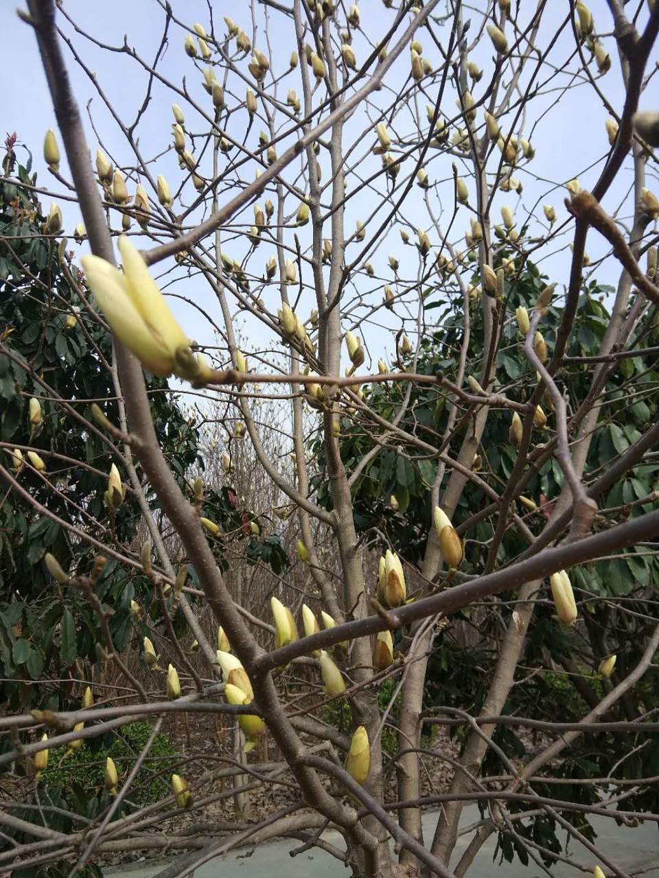 7P6ZOZYzaEyQ2oyclS_Y9nJy_qYIBlmy9ekaLQnvIhLJIz_GE1_oiROGozVFo85x