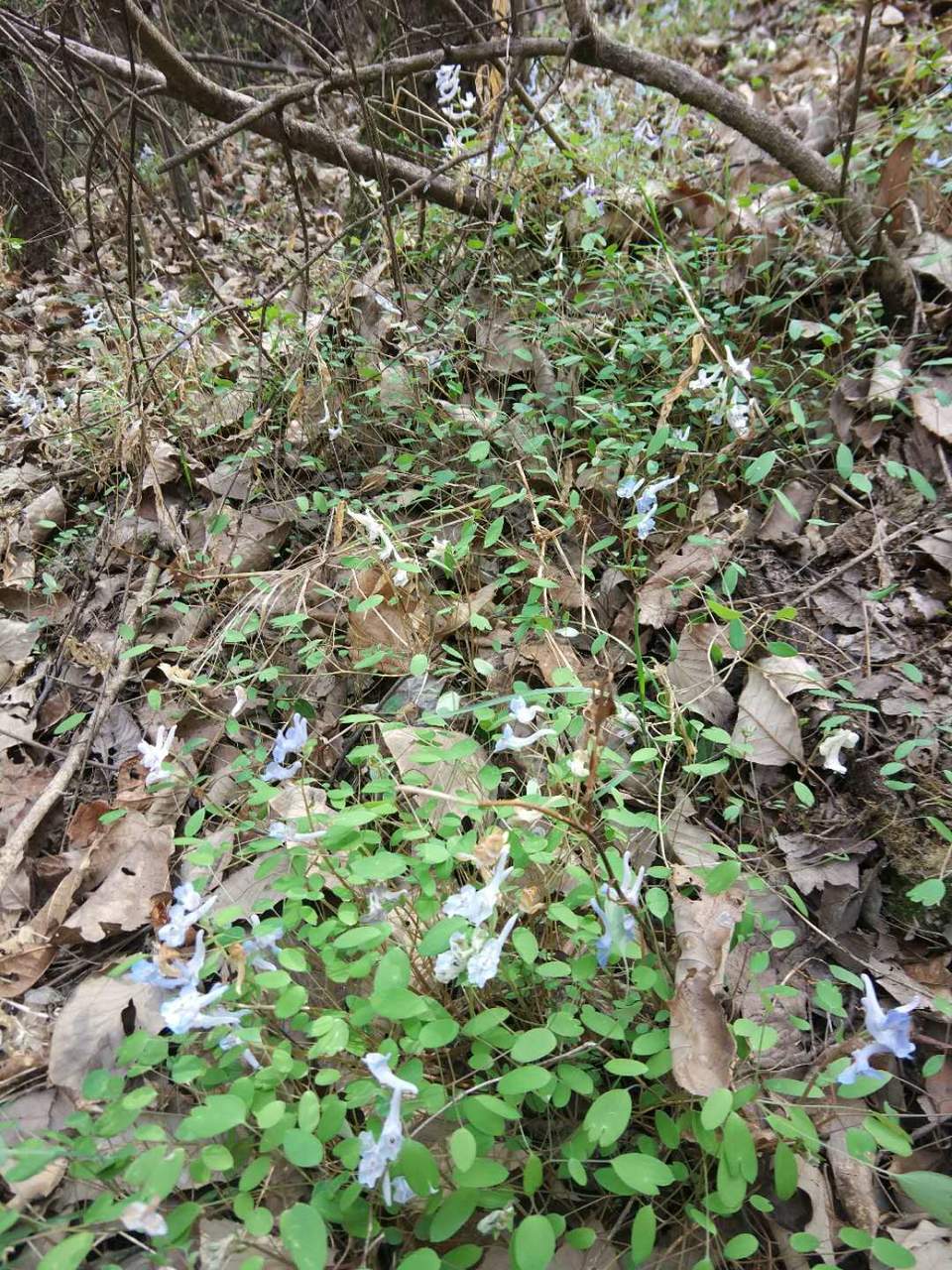 Sg7qIFxa1JjgI2c61bsWpQ-q-9bpWAAei5imGLI75zc2Pi_fW5Ngp7DF5ttxEfX4