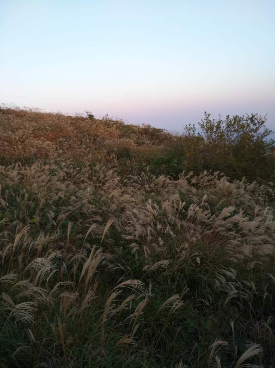 sMc-BsDWEAbPOD87Tj27END9lplRWSE_9YPQTFdm34LfBxx3D3l6O-FshmIknbgI