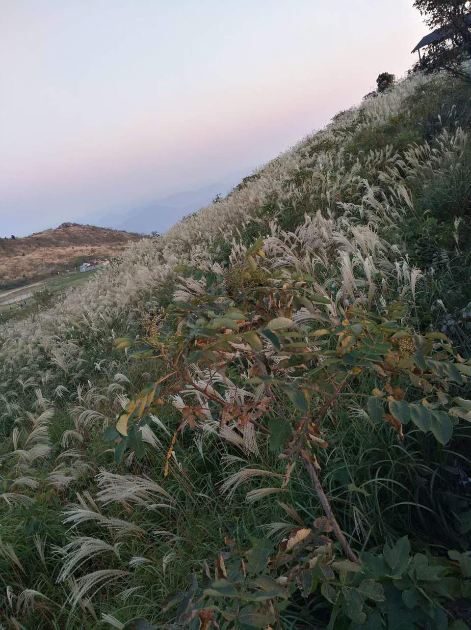 uluh5bRKrcXN5R9lmHTmcNB97atSYYDZA_7XiTPD2W_UGp0fULvExSReZoHjCcHl