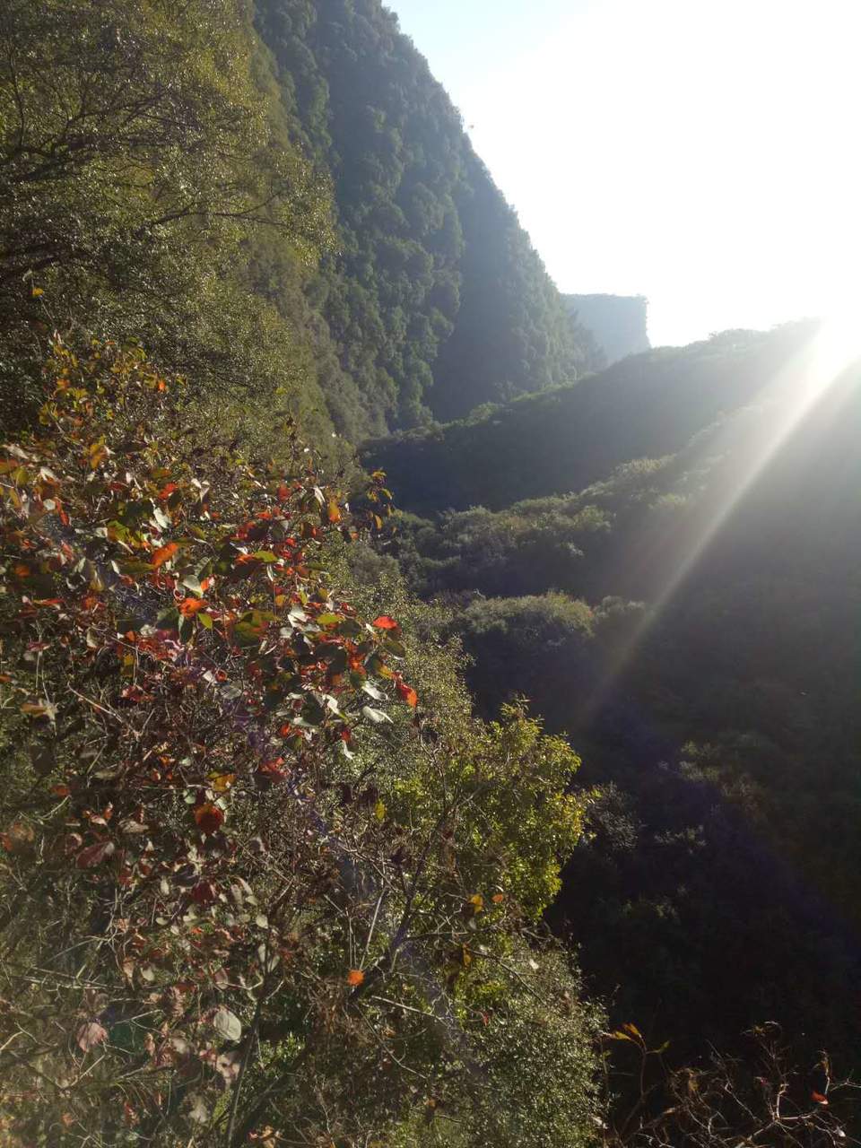 AzzOdtkxxCC19zeCeWGpKngXezK1McwqHjXi4sfamYj0jCzZWTzX0gSovcIguWyN