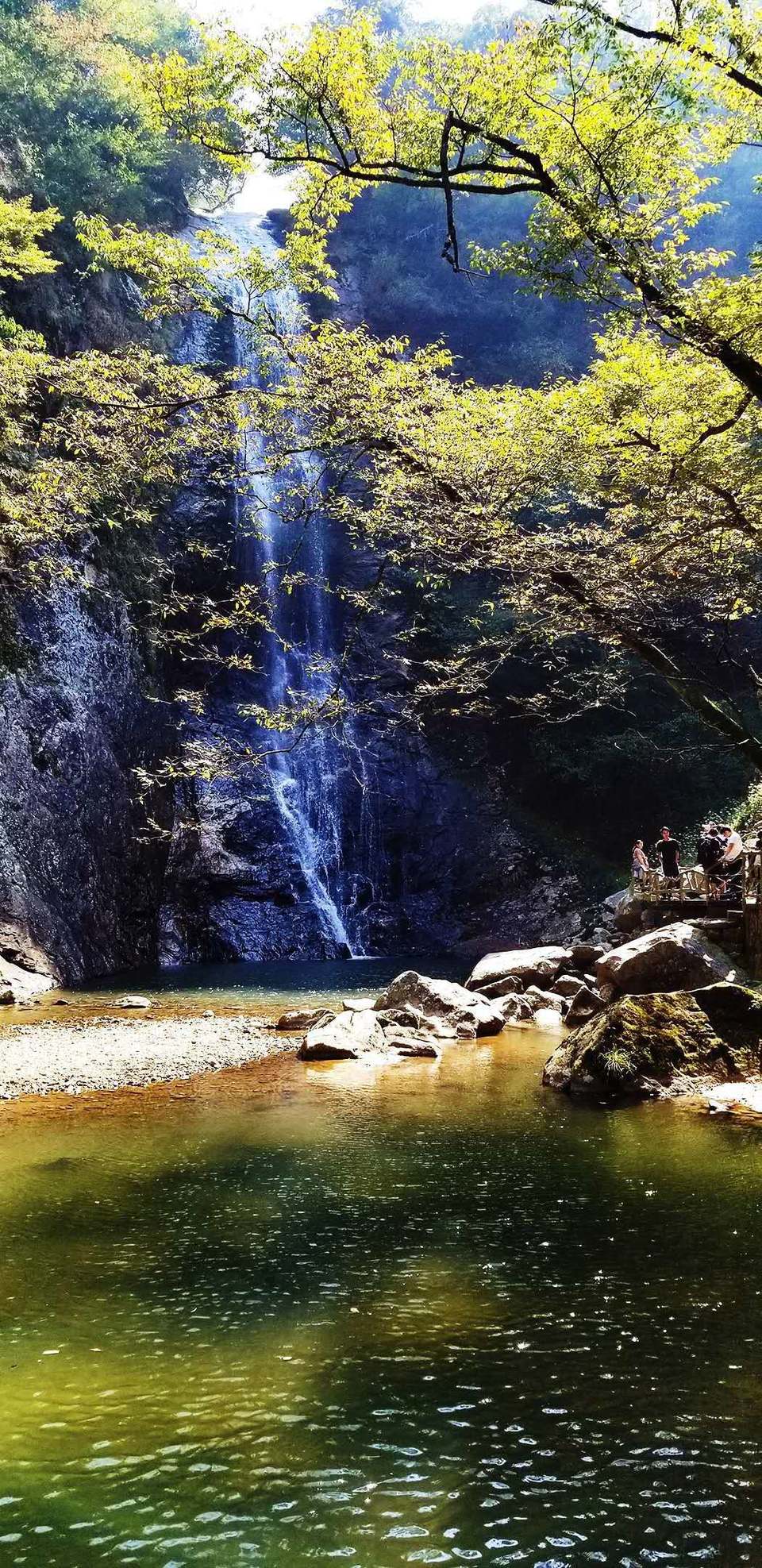 TbC8y61zGHPoGyP0KNKfQNeTm8nclokuG6sshnY4kcF3z3EujxjIK2ABHJOu2z8o