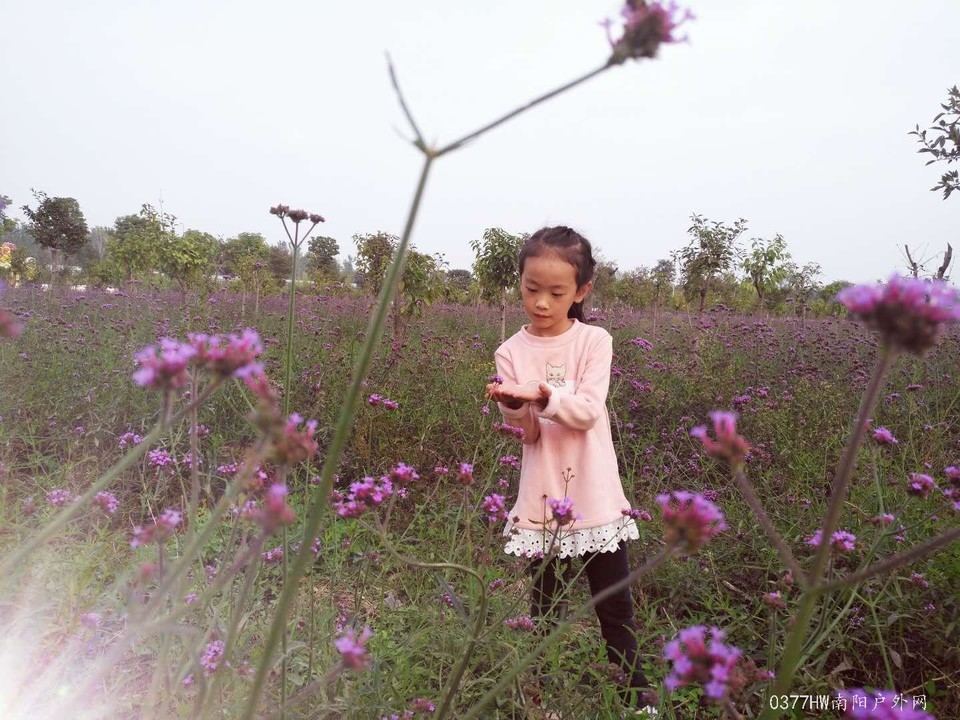 5NmhIfyrLi8I-uumuOuHDnl_5TH7uKH7UNqiC7DiGBi6Ivj-6uErMNDE6AkGpxKC