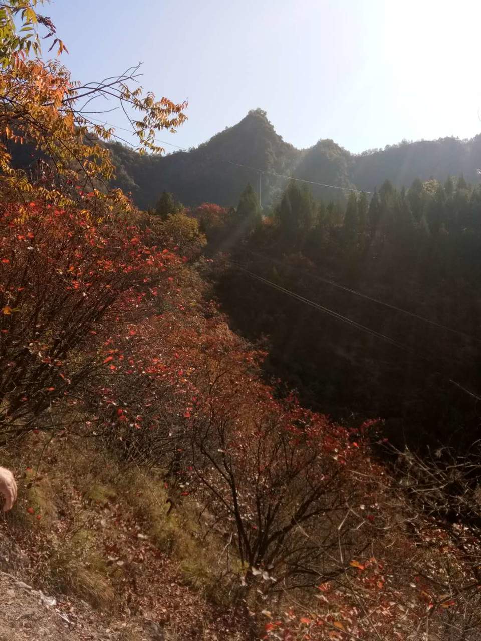 ZEPmqFOtEl9g68AgFA6HLFgnMyurs31nizbX6vuPpT0oozZ_UY0r1MlQG1rstFag