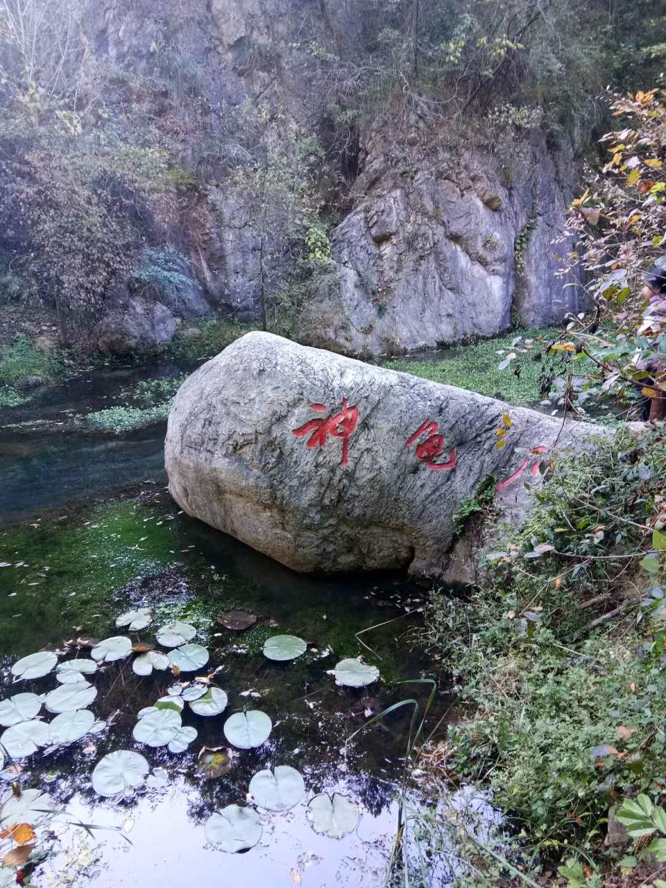 36EWP0kEeY6_PV-fVQj9b0Heb5Yms6FEiqTWMARk5g7shEHne08pGyt4SvaY1ECG