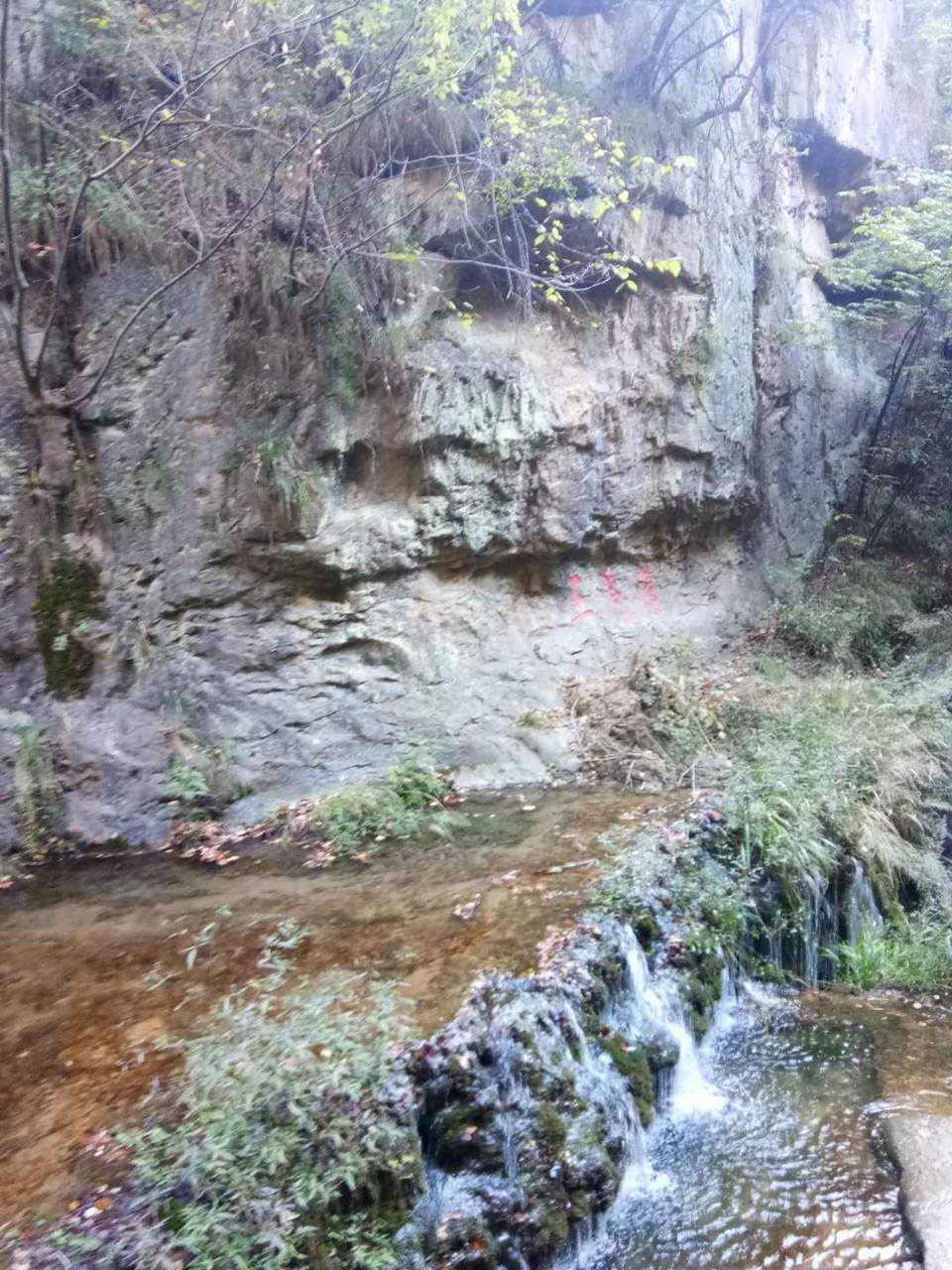 btcJKFkW1imRckdGjGlq1iv4V45XWzsVwd6bhaQt8FGg9kz2HtSZo-KJ_rK_Lxfi