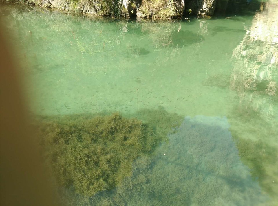 OoFLbIA_Gz3j2AD28rKkEMxt7V6rwn44Bsf8HyxLcDcJJrMT8pxdddqsODqdYEB0