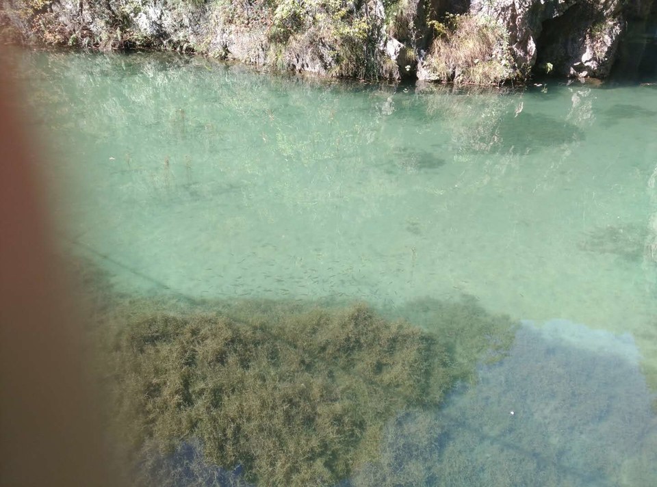 mvDF4utyHKZzHGj-s1mw19ZR1jFezrwRBD0-iQQNXKpCkm5BC-SbbSw0FJgggARz