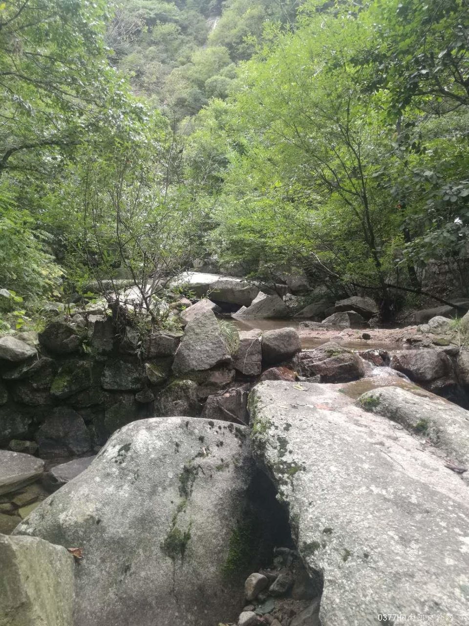 4sY92pS7I8VuVZTCMfNlEQ36UuyZ8vtAW9LKKye53lQ0pD-wh_hgw8zuuuC21Mua