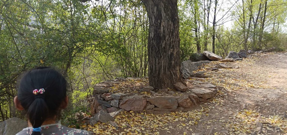 Wq9BO3IFs2gVK01hrC4VYVFWlx2mGXg8jbl9NQHrYrHFuow784-SEynufR9Bt-S7