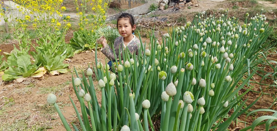 HYZdytFgdp1FpgE9gDa2kn0ILa1toIMwuTGWtEaZfaULbuvwqnITeXRns3N_8jQ2