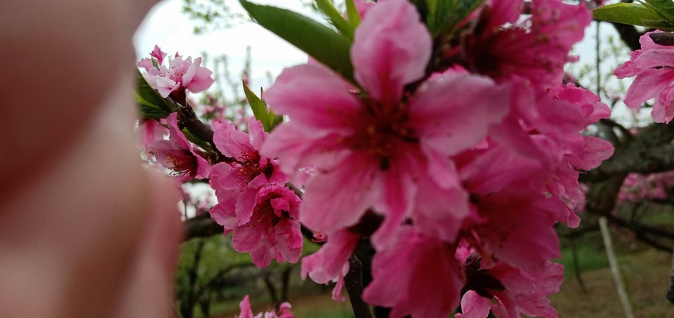 CDOj435VRbU2u_-FzZwj-vuGa0EUpxCUF-qZVIbRAPR1rPio2VwaRj6BxoZtl8GH