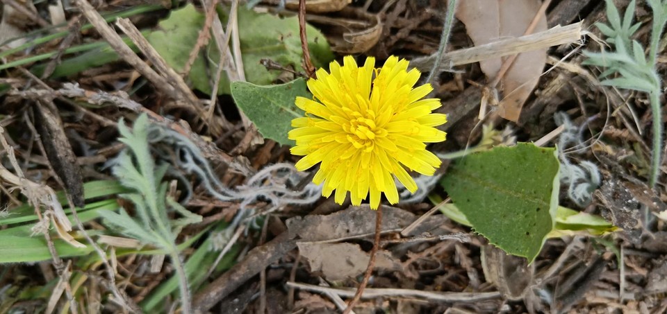 L0WxdMbd9PHz-33YL0duORaem3vmMI2IqyAUoiSWvLyL5hgu21YPmGRUl25yJRkk