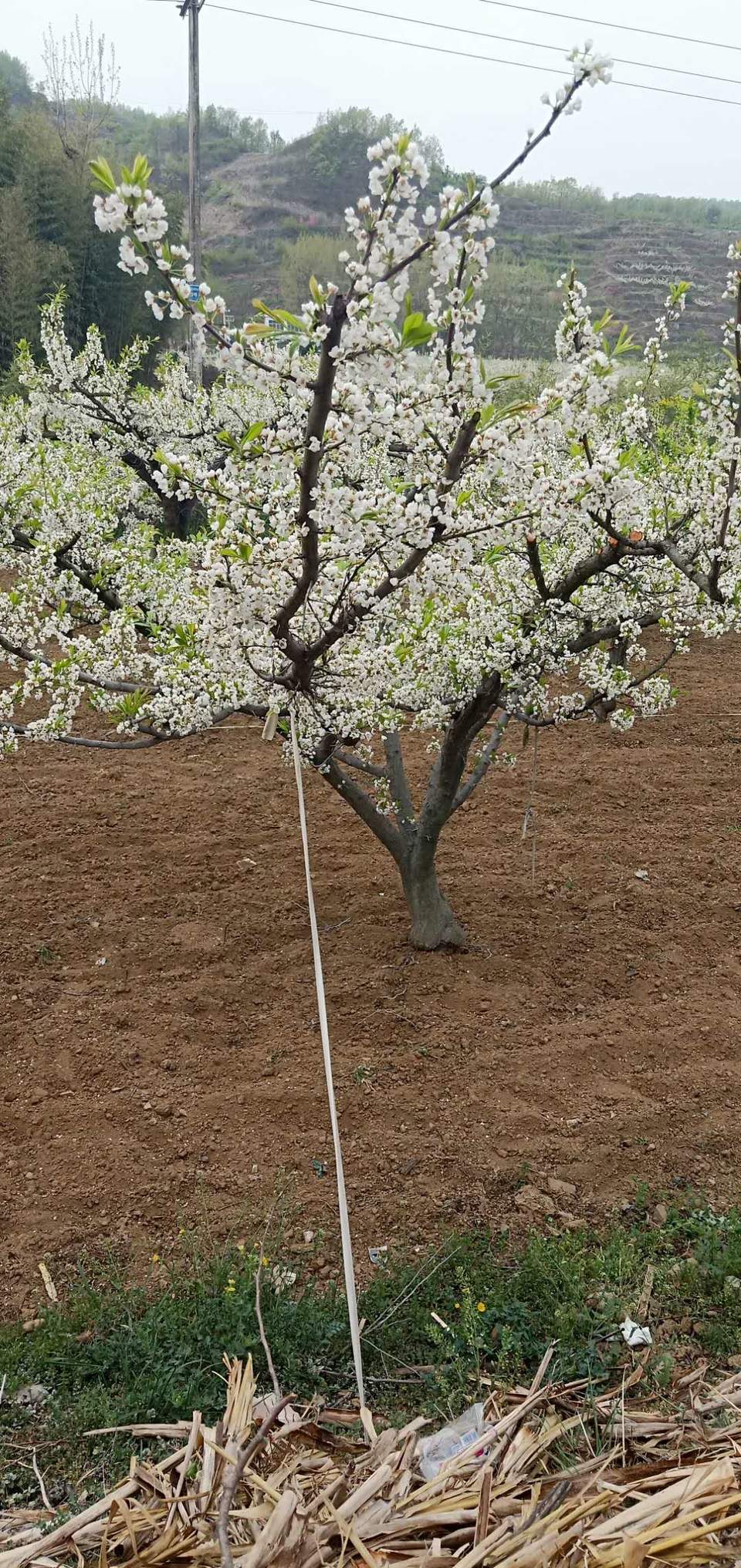 NKCJObAbKLJ22MRhfY2akiFEexUvBnhVMxKW-KSNh1u3QNRlMs4UicLdbMiY8jrp