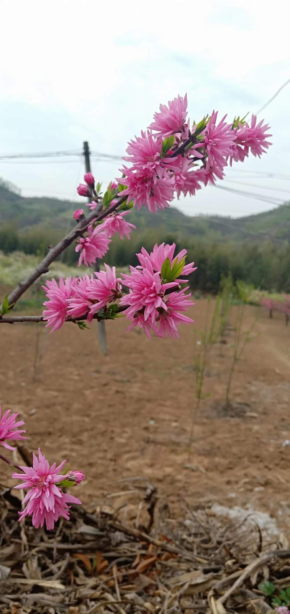 Nj-oWngPJQY9Bm1hHqaeEkW6d7s1eqbZTUTfw_Oobmi2GWyfAzroJJiNrhGdHofH