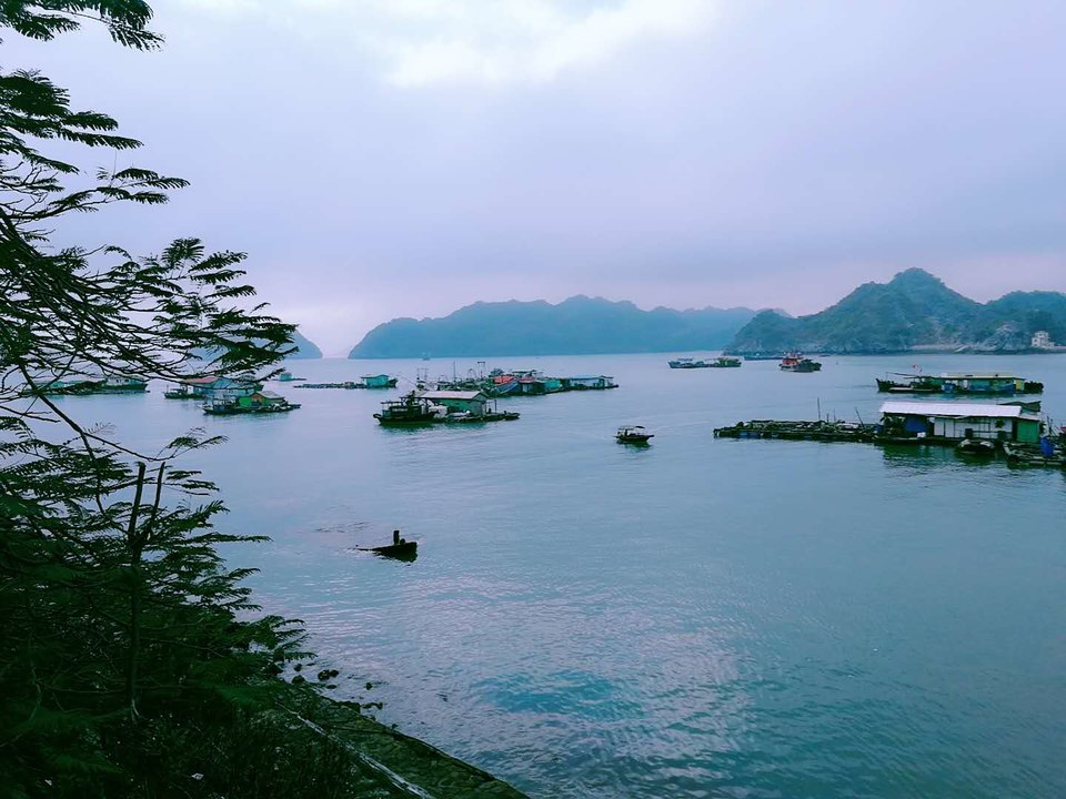 cc1HdBK8aceGlDHE0WafQqOLd264zdo6veYWbIGge4kgoBmG7r_6YYUmfdsyAY_F