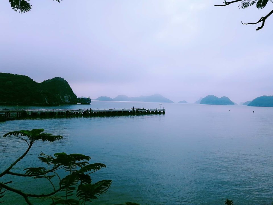 zVz_zbpg6jUEIVYv4VwfUB3TurA5_xaSzZ6NwzsmJlaYwVkjAzVsJgVt76fOZJVy