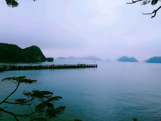 99sjwL-t4jzcyH-d1a-iP6FI4LUuDl_KG5PxBIAv63dQtNVYqwOxg5J2XtBH6Mib