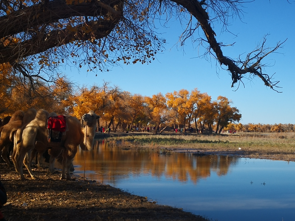 SHzVxdJjEPhWG8kLo_OcGDfKVxuVxsMeRPFK1pbzhWav3tY9JP8qmLS6Dbw-PBRj