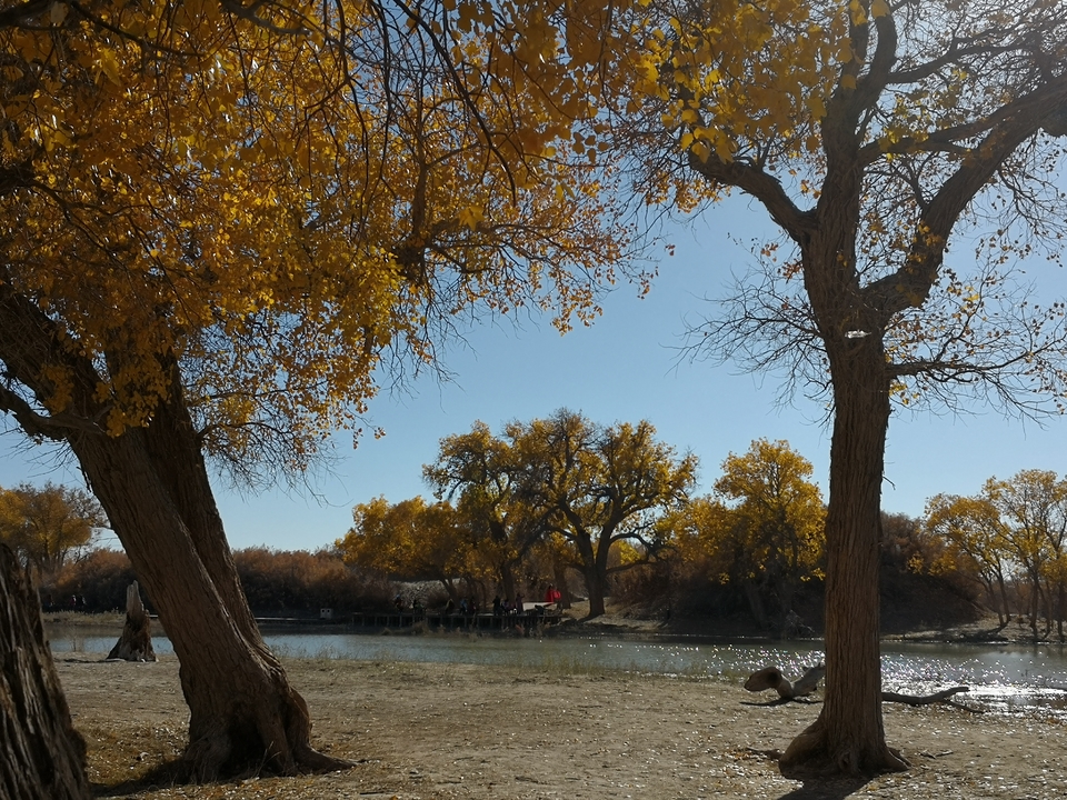 bUZNzRKANvZJgE1oD-yBMGh9peEXan-cwGF2BvXnB-QXUu36QDH4lj-v5ZerJgPE