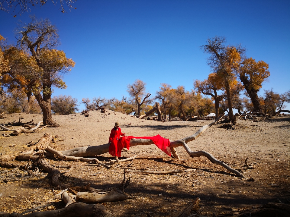 Rpp7SIrf3Qi2rciwAKpRQZJaa8PbRVRbQEkBIGh1Wfk8S34xAK-ys67yzjJ6-g5H