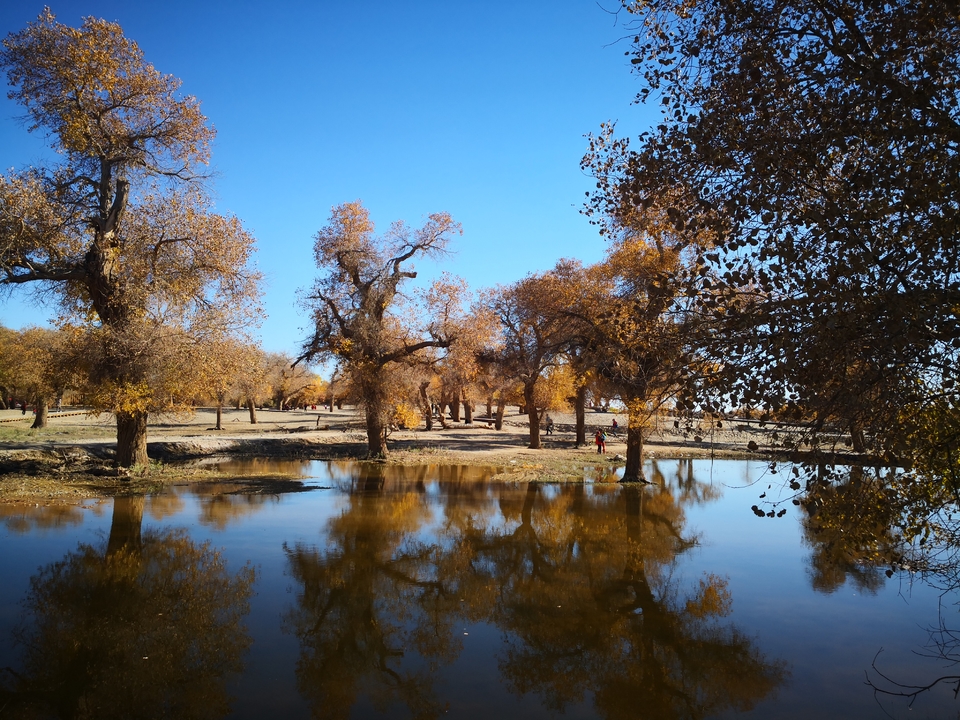 -7gn98W23-LUjuf6PApgCvnjjZTjFwTNGv-8kqhDJ4phO9BjdRo4_1jepr8Azt9h