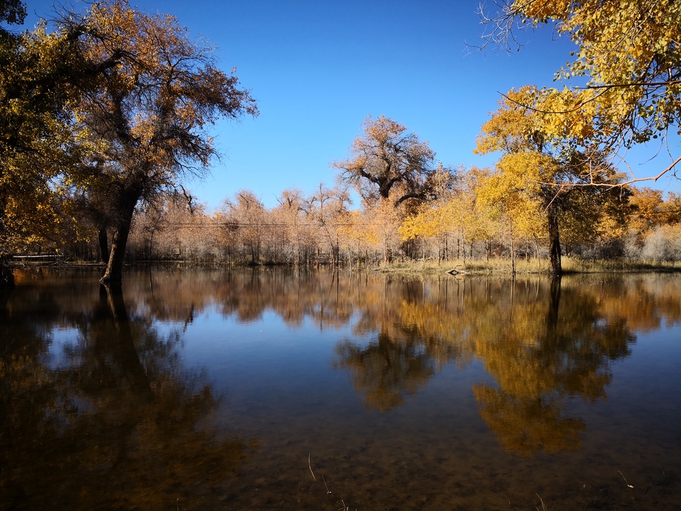 HqrA_1TgcuSsUG3AvfYHlSK_SG3v2EUjAOEePW0VrGxrsjeBOx56WRA11e8rB4a5