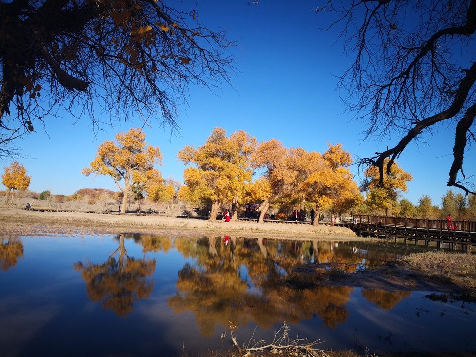 rxmHTjn3QeNy0ujqZWgKSKkth8ldtFMEjdjHePhAsPNEdIWM-kMRsnnGWUERN1Rq