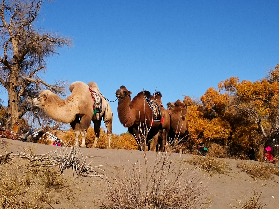 xiJ4piI3LhEIvDfS75Lh7SncXQIXsRLnyRhKALhl3dSokIlxBsBhYWb3UHlaU6y8