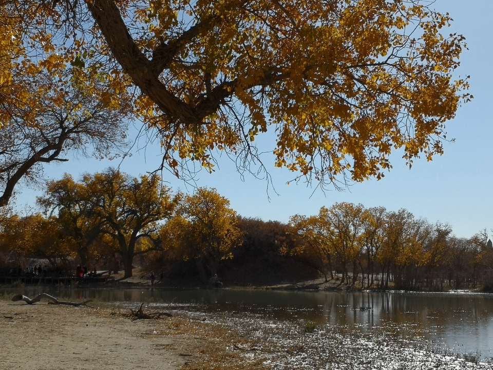 gsp_AdxVrAPqvb-daZUaABJ_fBGhyLuYwNPAQYLDwwjR3A7DUCV5kV1SWLtlaaU-