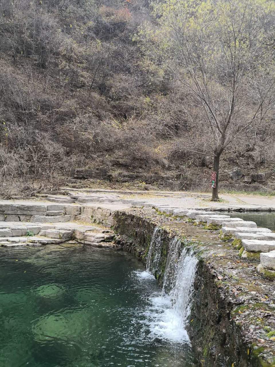 cQOu_V32TTPNF5V5GXdjDOr23ax76xvGhCTd5ODkQfsv81XEByTKustdejbCasL8