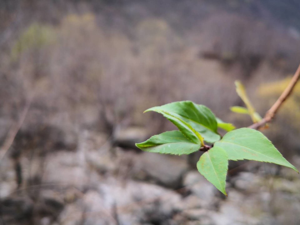 9rZkrHoUcGfsYvTLz58dBPjYWDAMKhZzPOIsUyti_XvSVbrlCHHqjxqWqw2IGdsV