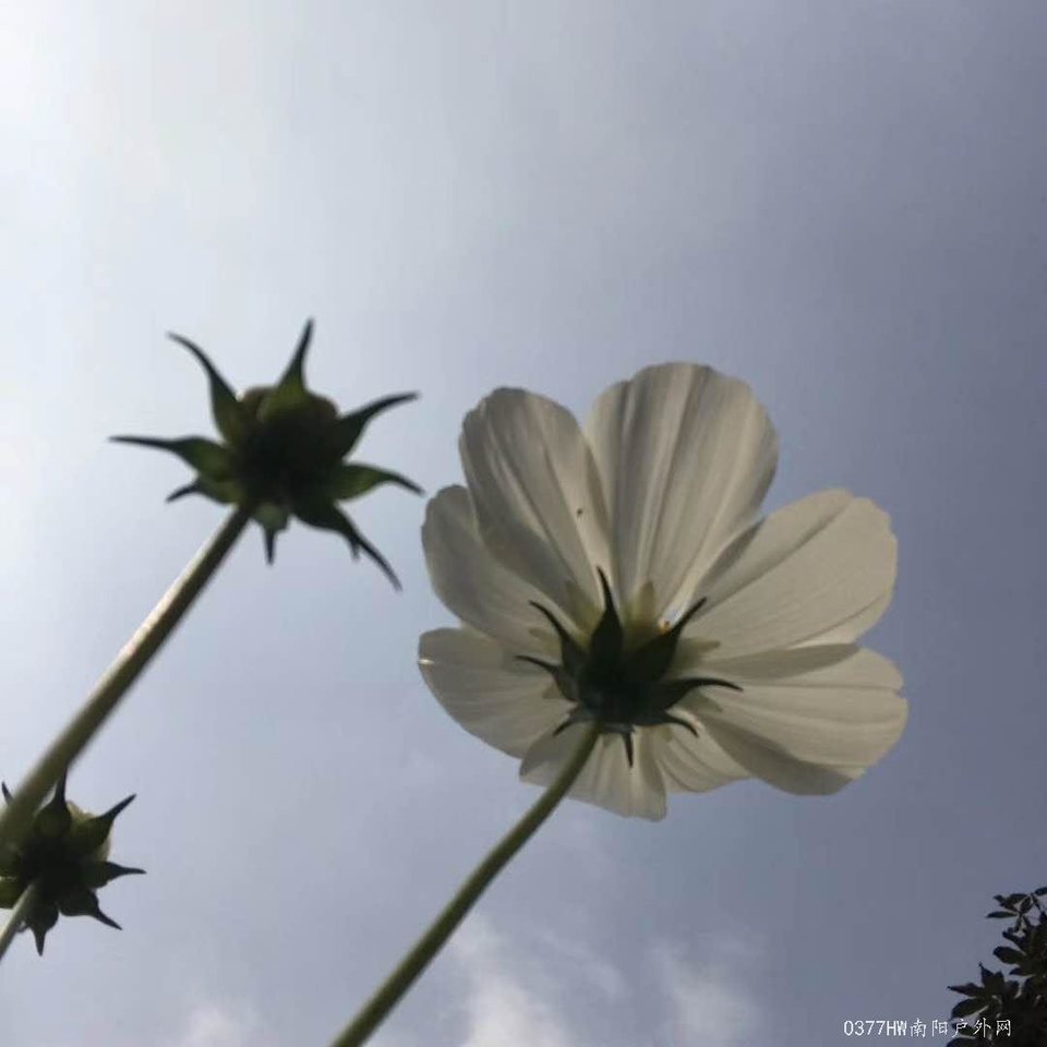 WpzezzT6wahkqTQ_6W_6cFTjiNmWDt_3XZyemlokbg05X4Rw28uYIgaZYgKYcYTW