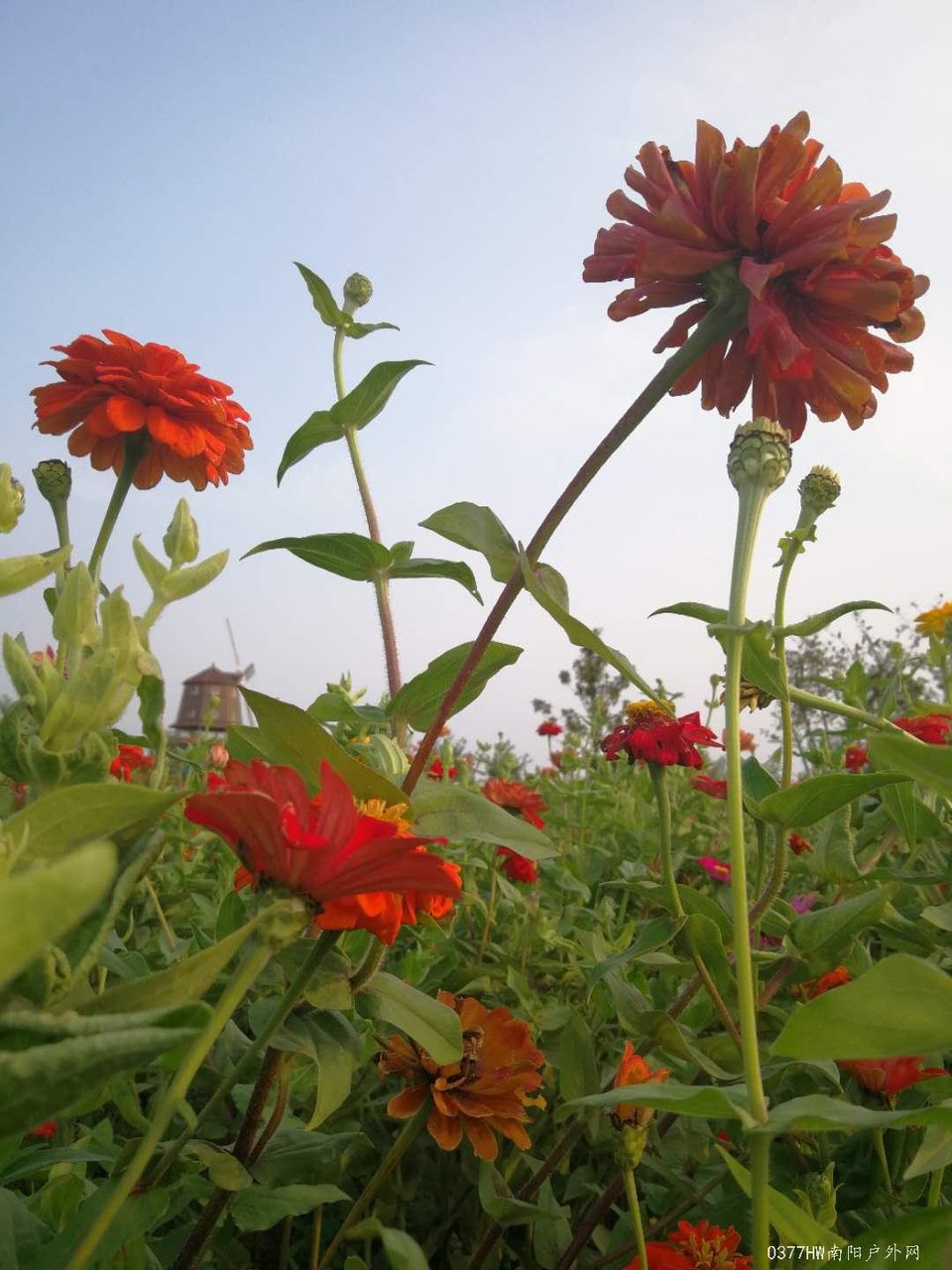 G5JqHFAV1rloDm4qykfqVthnXruqg9v6QfaUnKwvrdLKOWSk5KwMZP_4PkX5FT2E