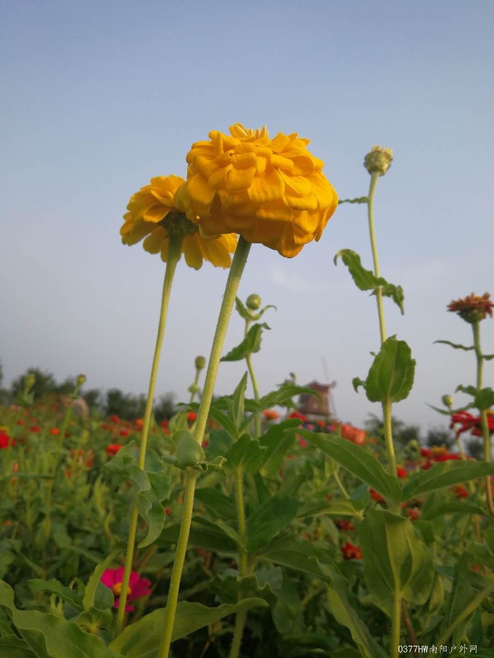 YfSjRHN0KQgWvIkDJl67r0Oudrhc-kfa4rwcXQ9G_veWCZbXWU1vJQy6fBw46c4M