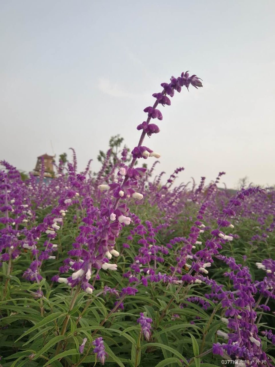 8QZhD_h16ipMUmUE4APo7jWUhYEfIwW6oKvpK-cgq-N_tYAGPX0Xn-l-n1pQXs2-