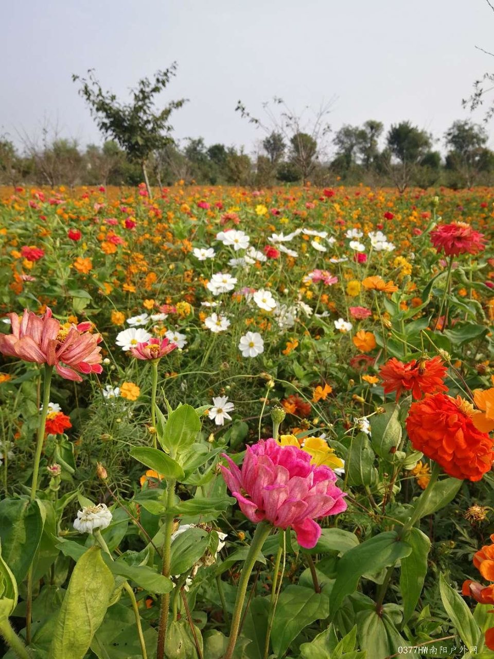 n8qvzh5MkdePiMxDO5-JL4ZY8XVQSyl6dVLZIx3g-_8f7tRdgzfc_U5FTeNjlFkk