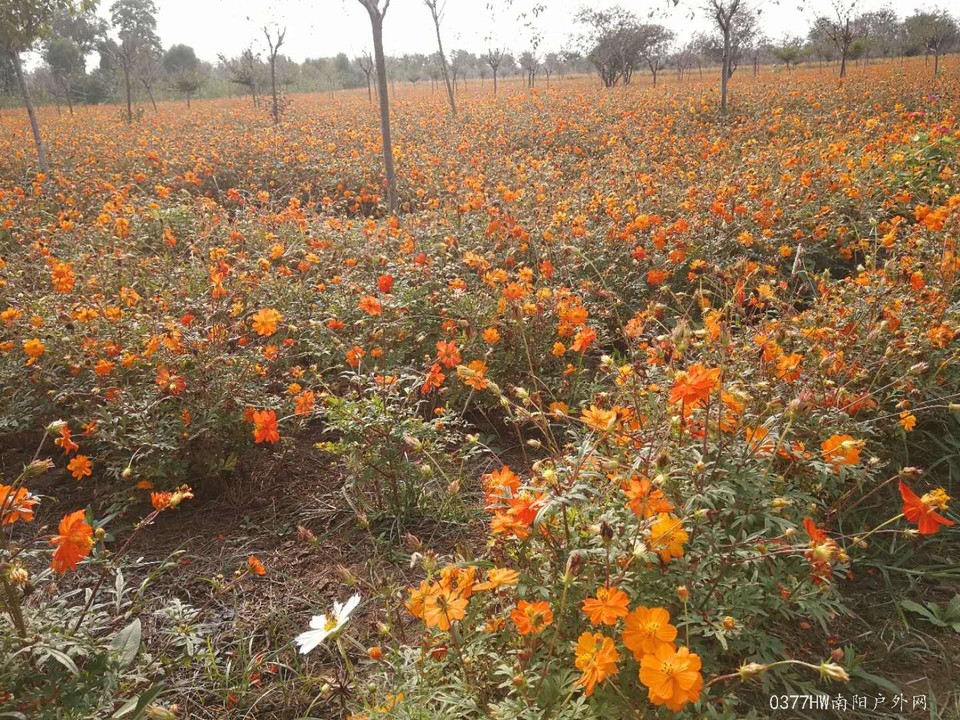 GxO7VODCsMs85huRVK-5JynGsX-vihSZrtu1H8eUBWzOWBZ6fLN5O2qa2Rqf6GkC