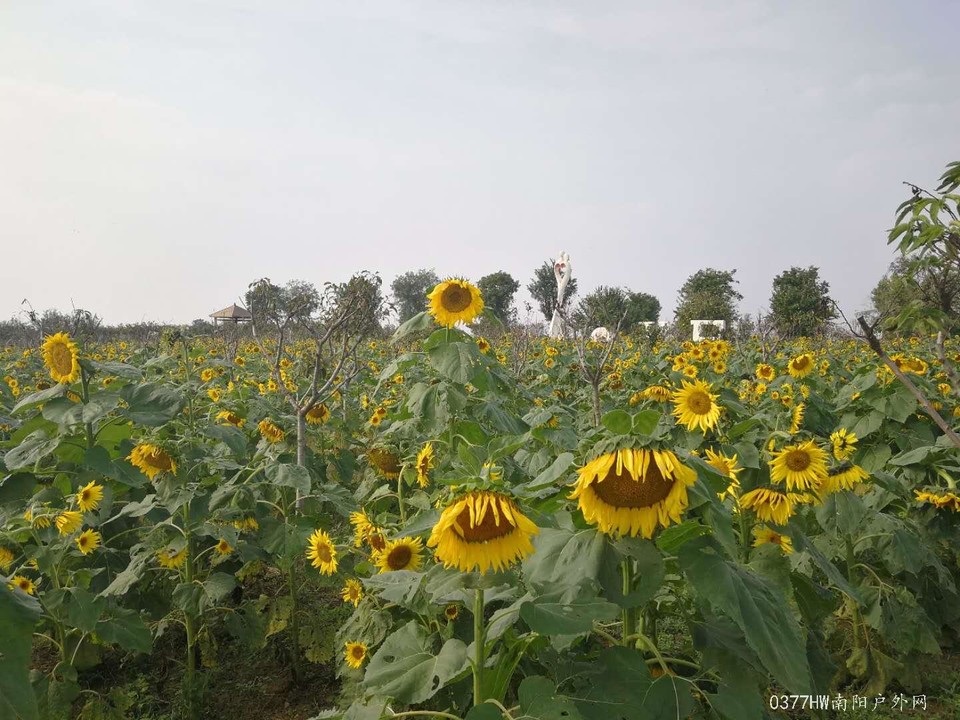 9gmOeUhRDFUU8smxF5ZwK5PFfG1-MTt11g9QfGd4RbdCAmyk5XnK3vX6sK9G3a6y