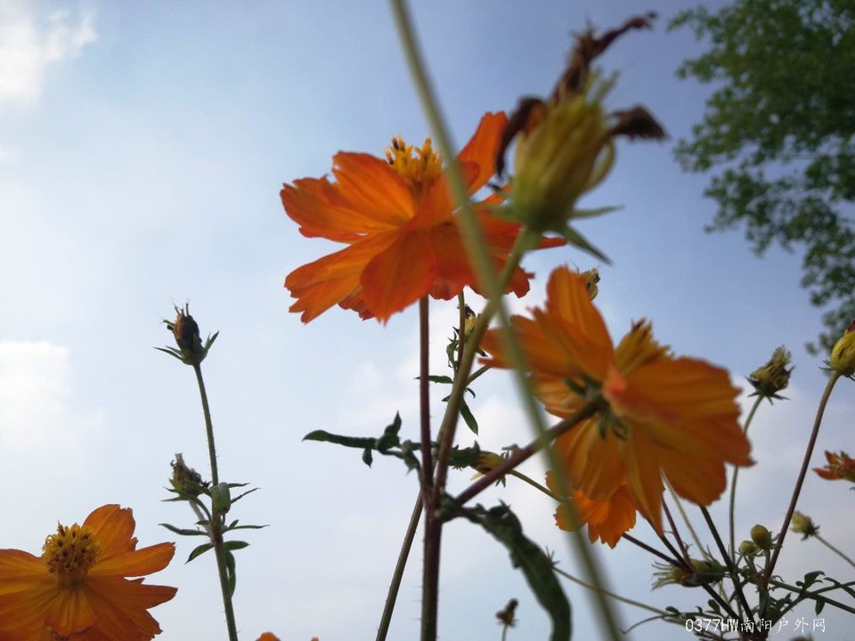 Xv7cuB8jeoOkqzyDG_ksm433fnH6JJPiABst0snV0kyUc_kjeRZq5T5DsQsR0Pbn