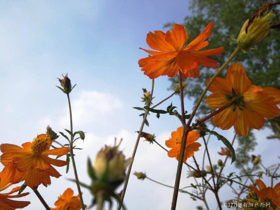 pKZQYFi4JSCoyMk0S5KEkfoNaqnXp_7FxwrKjDvSjnjqa_ycTL9u863qJWtMZrcL