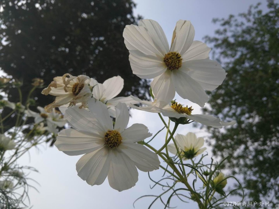 Sljhkfqr8uoAXDHQRbJnp28xPeK30q7QlPQcYXCZP81R6iLsdasyhbL5KUgsAbYf