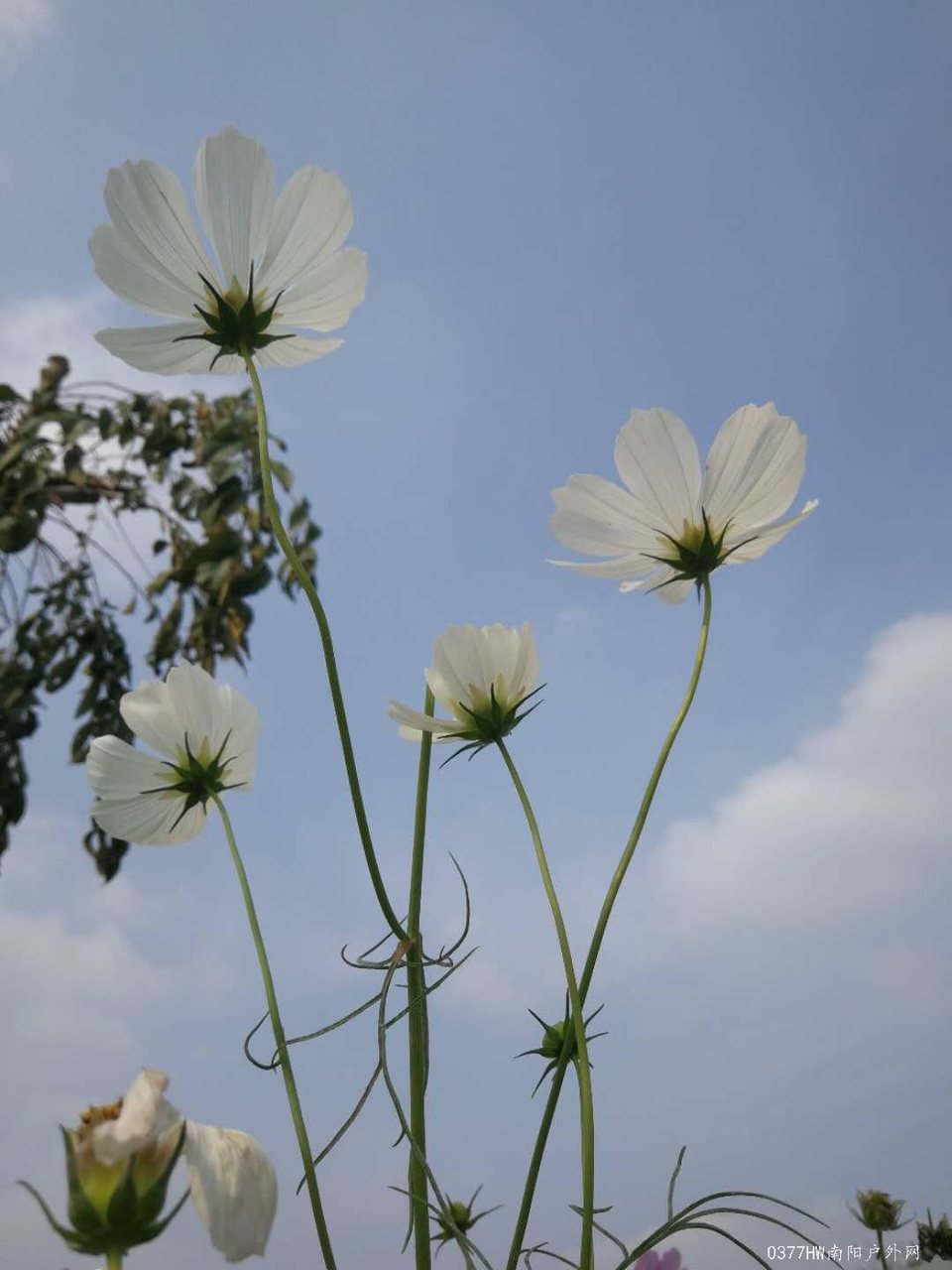 1qVr9CtvLxU3mbk8Lzj7L6TaPpNk55wmvxvGRBc5-EOtsaOm-gKgkJQn7NpAJQ4N