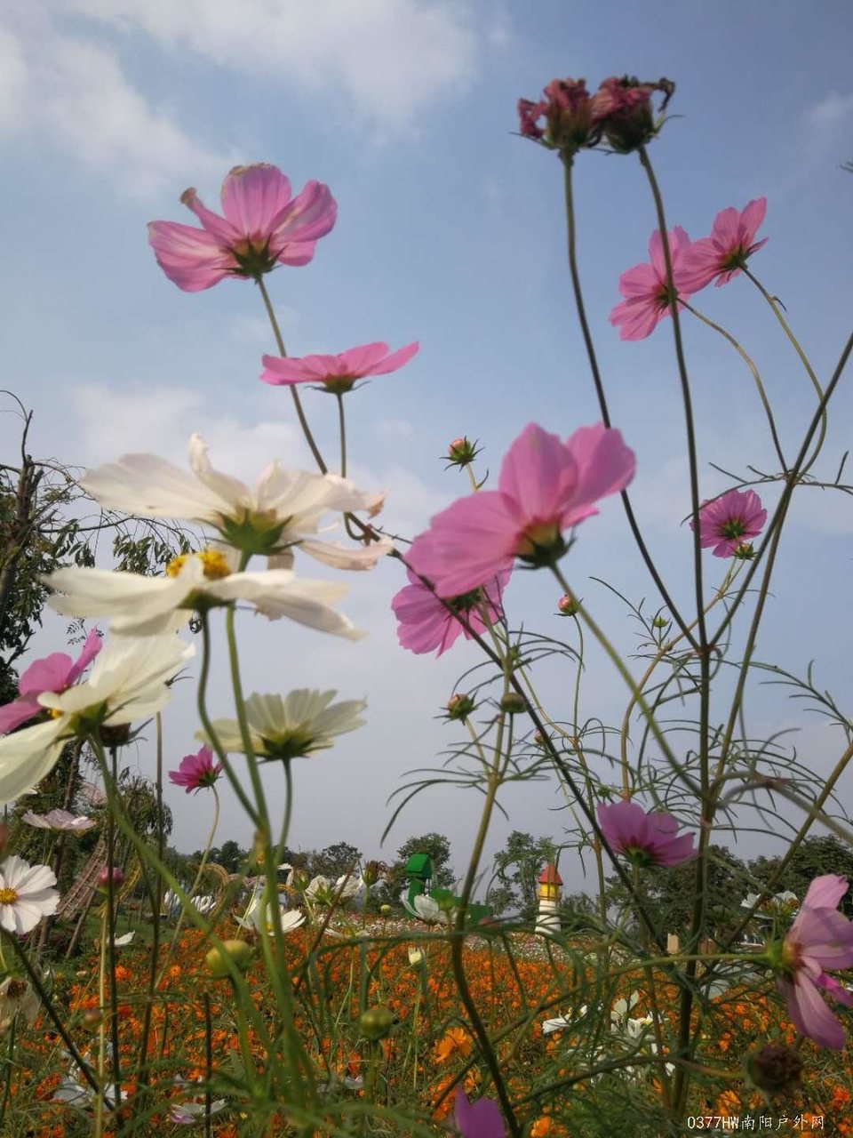 deWbwzSKCnEBvp7l0rpoUXzBlP3KCYt79w3PKXcdgOtO1U8OnS8TAspis-Ef4soN