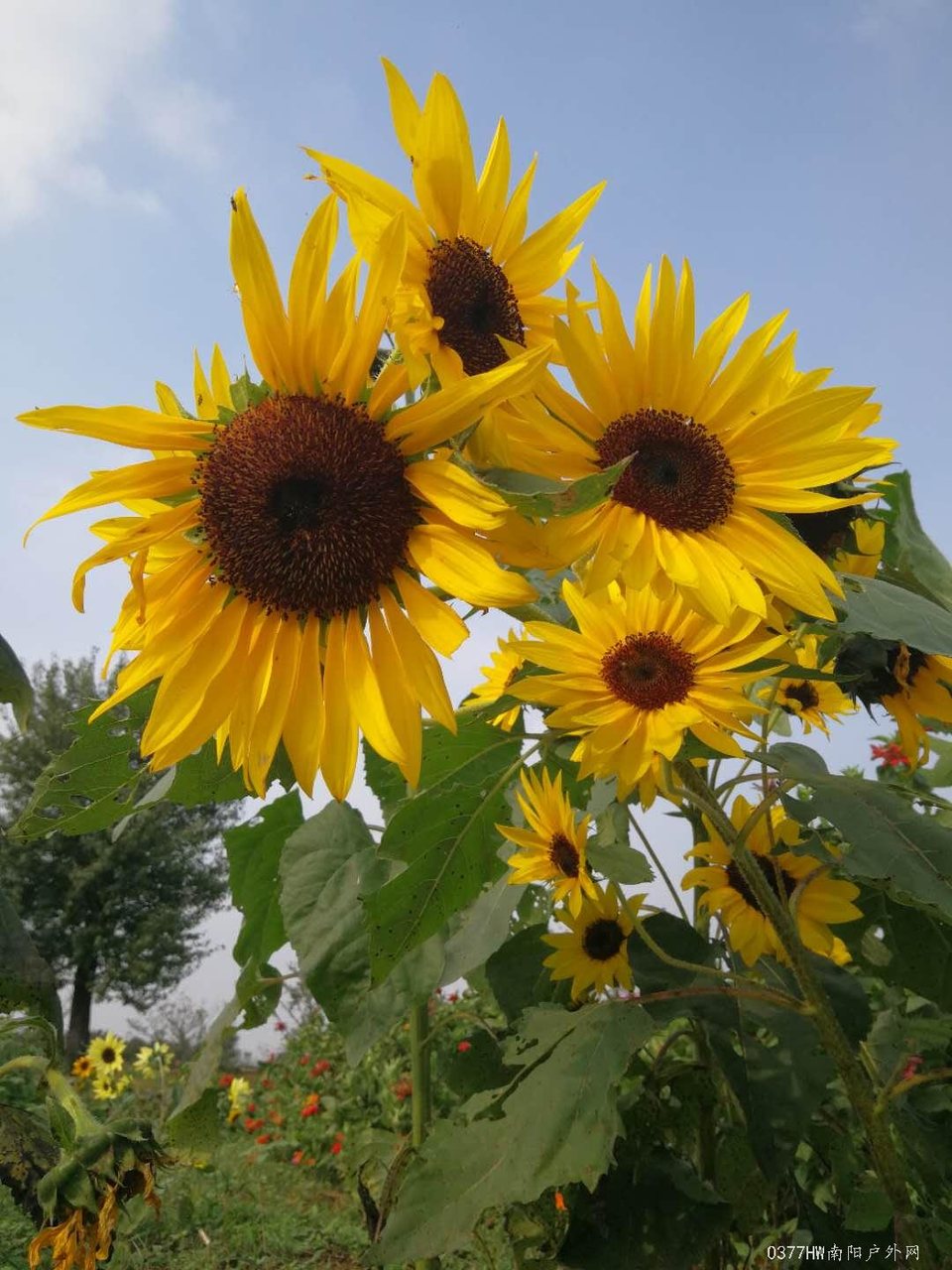 BaGOpRNjpb0ZK2-N8NMFZl5vtj91ehPXkV3le-_RvJkdURL_xxk8VmkX1qYcSv1Y