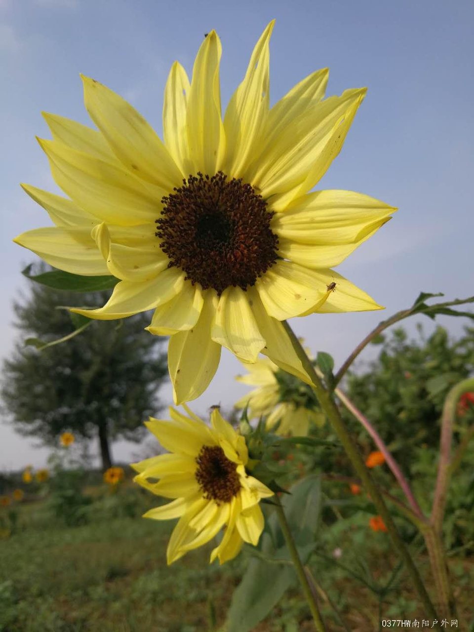 uZ9KHKjDQd3yXFryyqS-f7l_R9doIvW2ouihJEX5yoBGhnw0yZBr75fjYxXocJrA